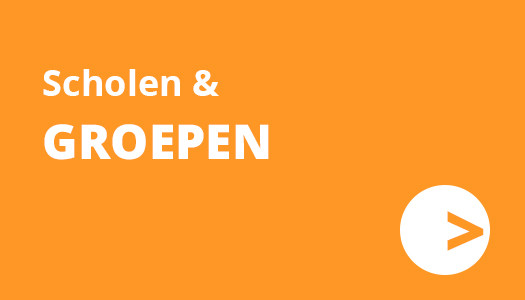 Button scholen groepen