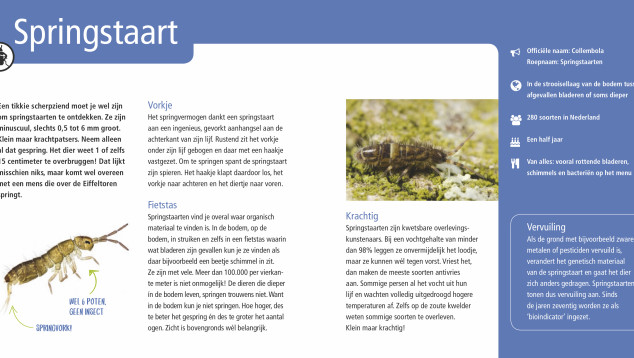 Pagina uit boekje Ondersteboven (1)