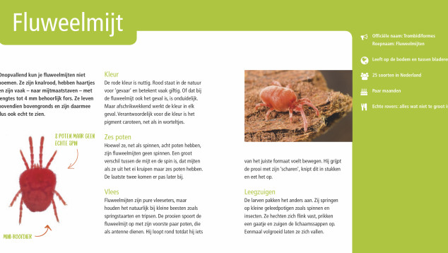 Pagina uit boekje Ondersteboven (2)